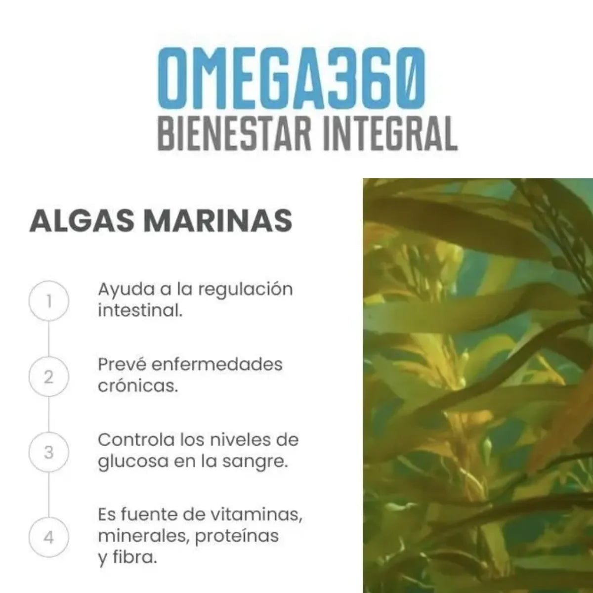 Omega 360 Suplemento Omega 3 150g Maracuyá Y Mango